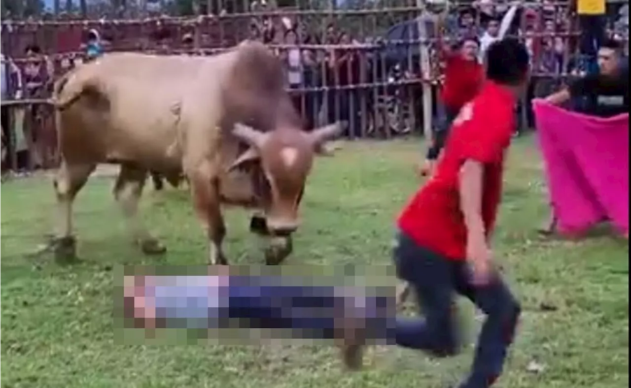 Toro pisotea varias veces a un hombre durante 'toreada' en Tabasco y sobrevive