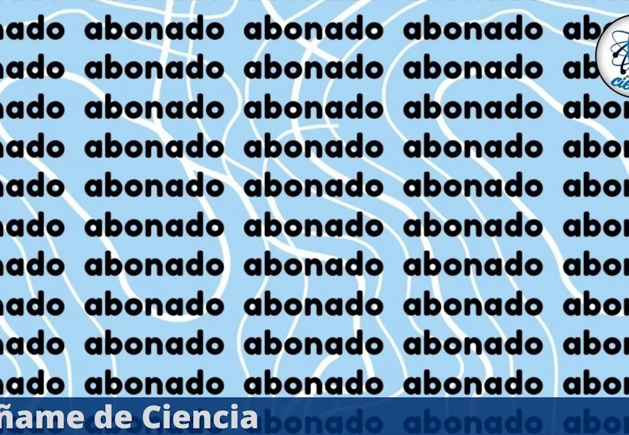 Acertijo visual para PRINCIPIANTES: ¿Podrás encontrar la palabra DIFERENTE en menos de 7 segundos?