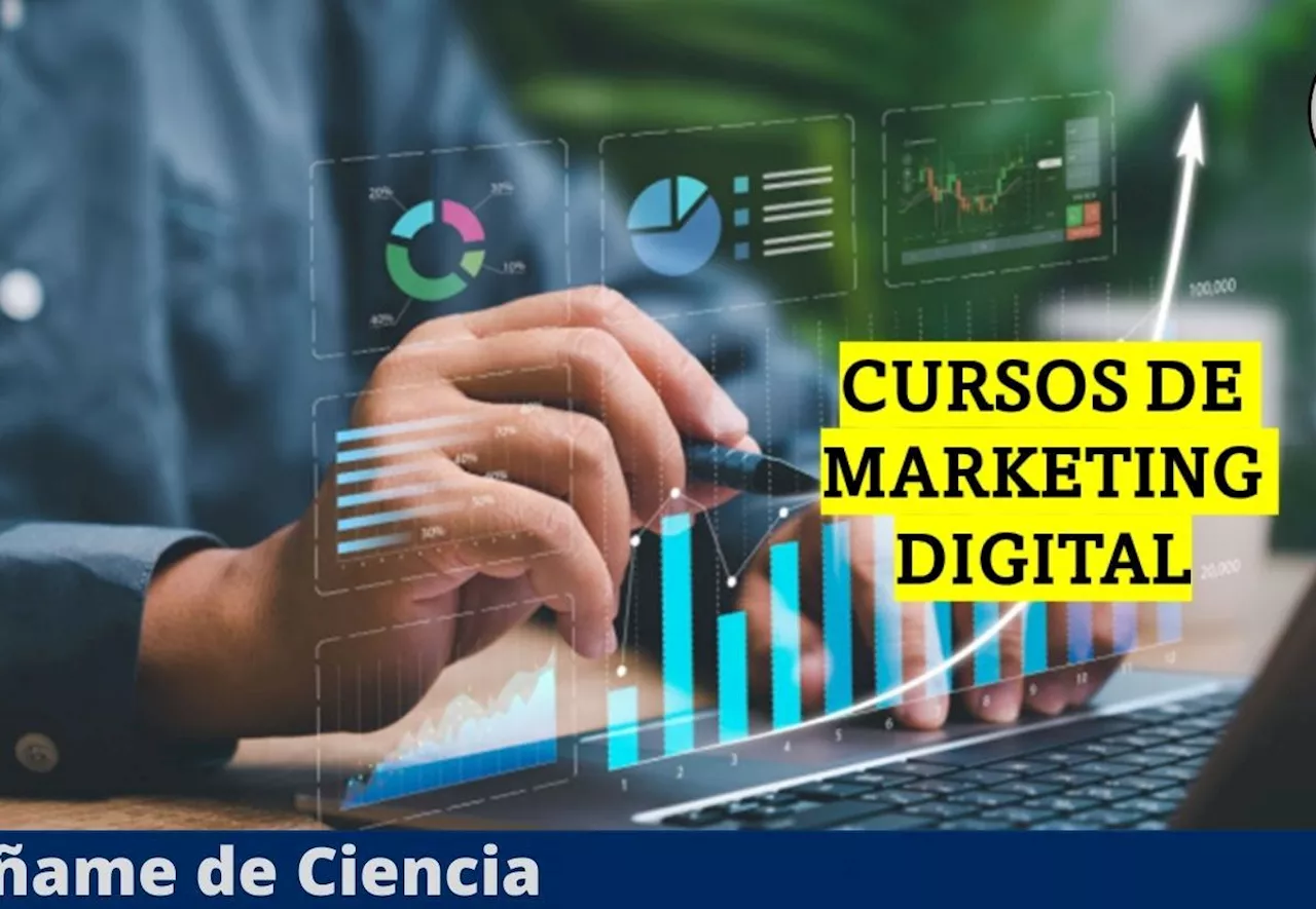 La Universidad de Illinois ofrece serie de cursos virtuales especializados en Marketing Digital y son GRATIS