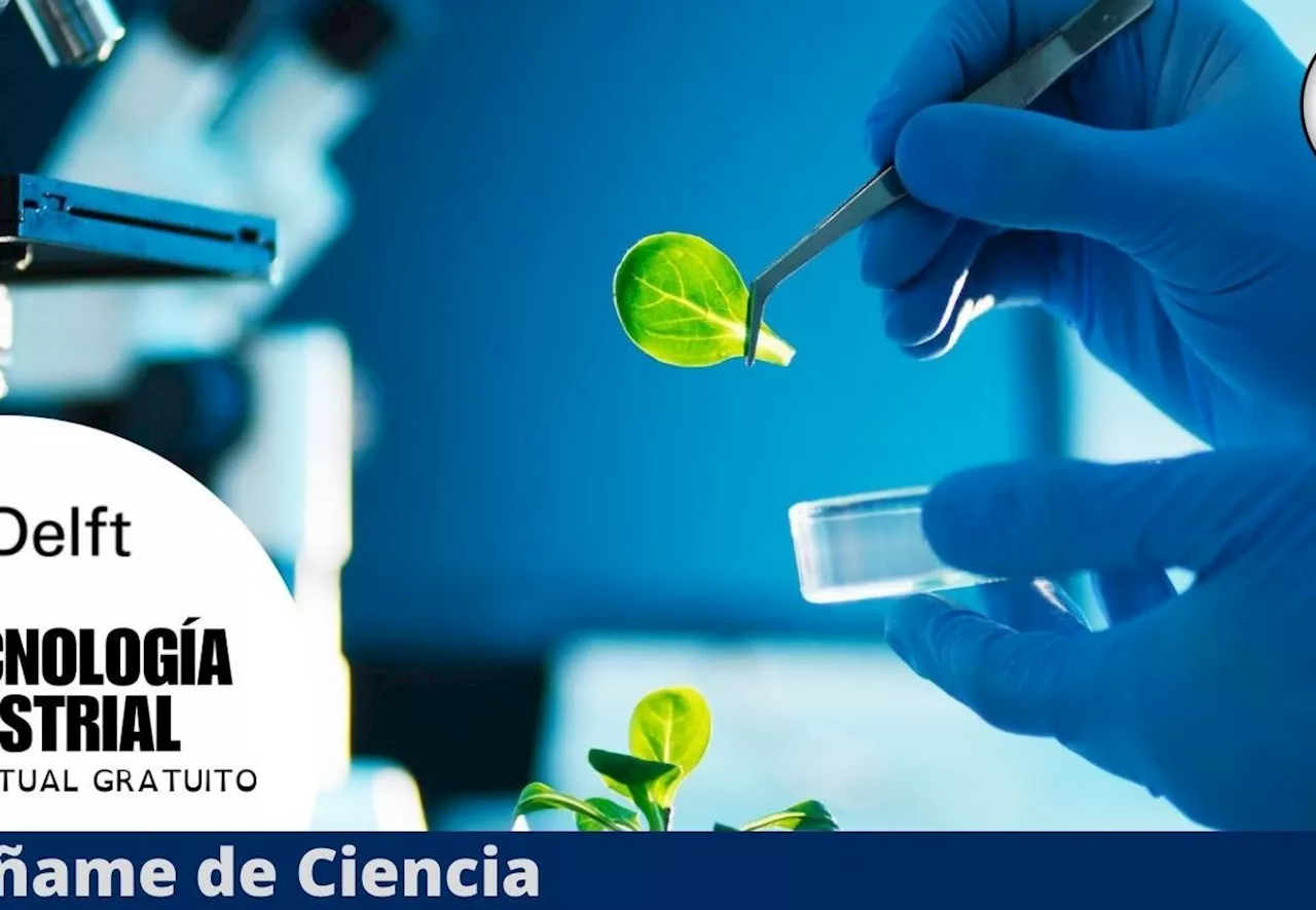 Prestigiosa universidad holandesa lanza curso sobre BIOTECNOLOGÍA INDUSTRIAL ¡y es gratis!