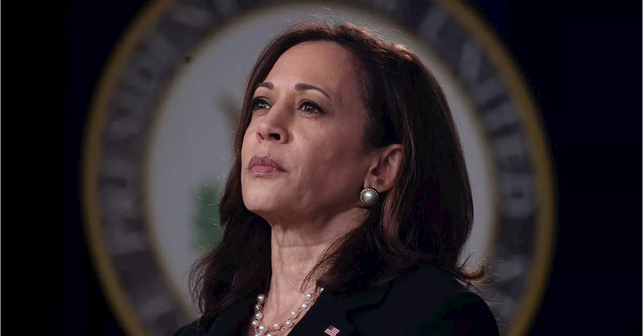 US-Wahl: Kamala Harris soll das Unmögliche schaffen – Donald Trump besiegen