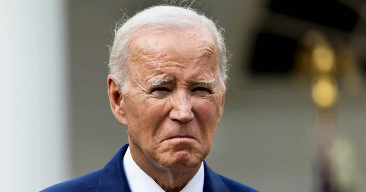 Biden si ritira: basterà questo per convincere i pro Palestina a votare Partito democratico?