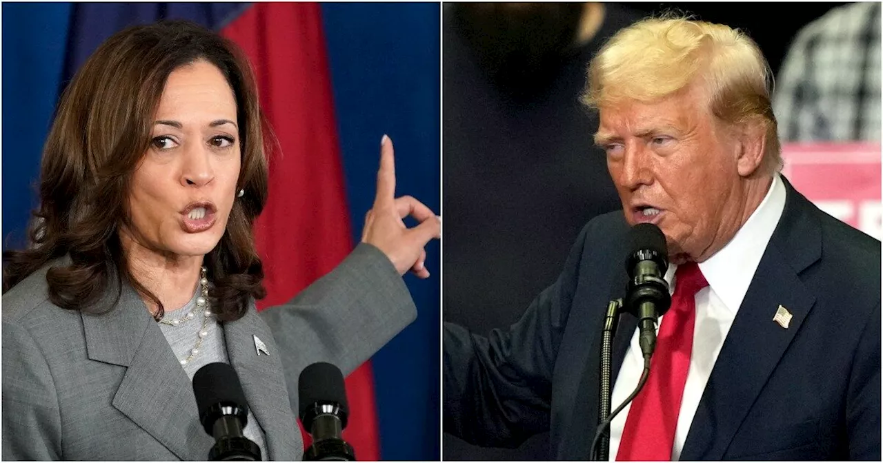 Harris all’attacco di Trump: lo paragona a “truffatori e predatori sessuali”