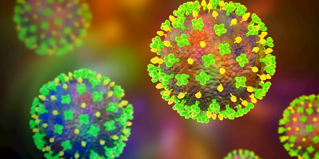 Was ist das Nipah Virus und wie gefährlich ist es?