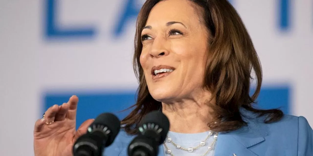 Wirtschaft: Was Kamala Harris für die Wirtschaft bedeuten würde