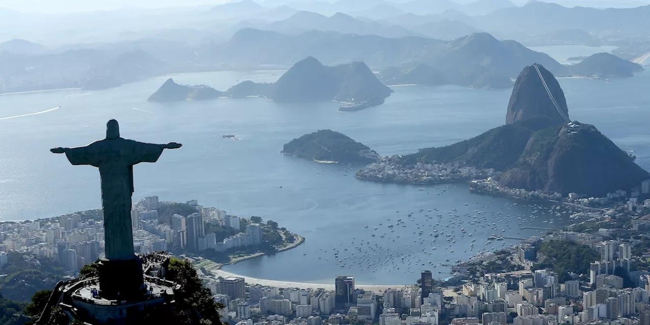 Wissenschaftler alarmiert: „Kokain-Haie“ vor Rio de Janeiro entdeckt