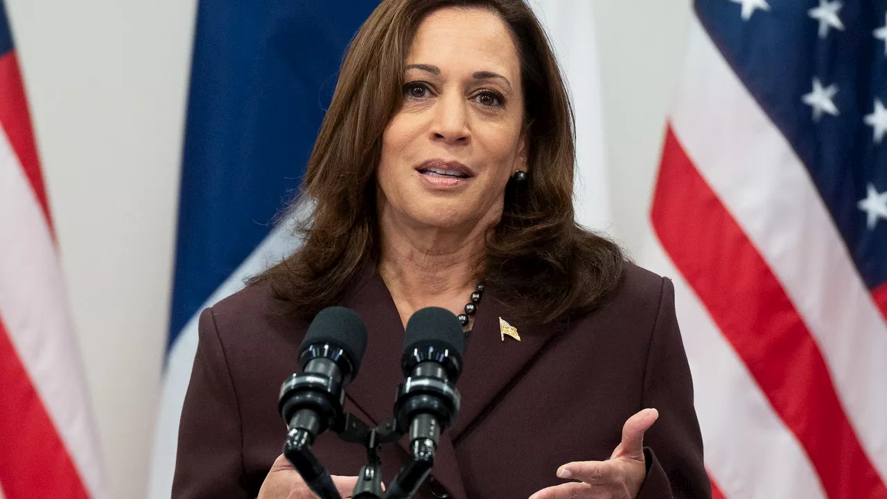 Texas DNC delegates vote to support Kamala Harris