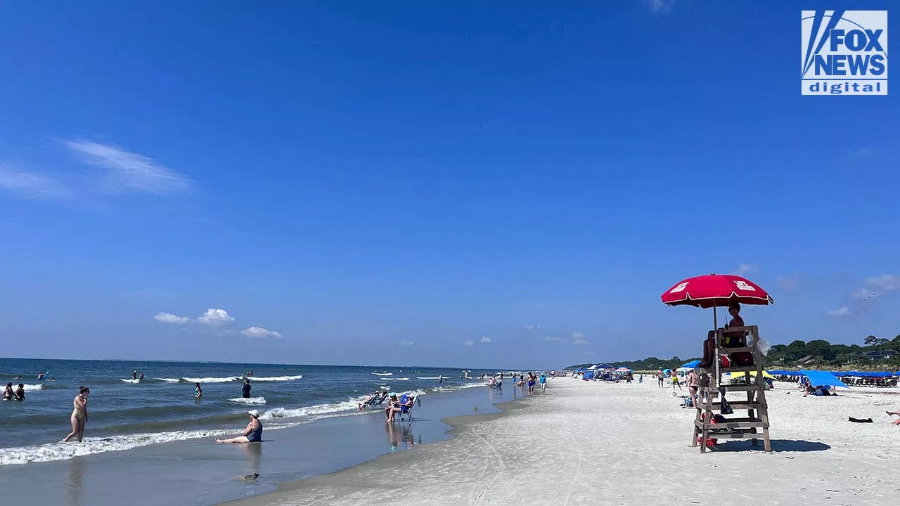 Shark bite reported at Hilton Head Island resort, first reported shark bite of year on island