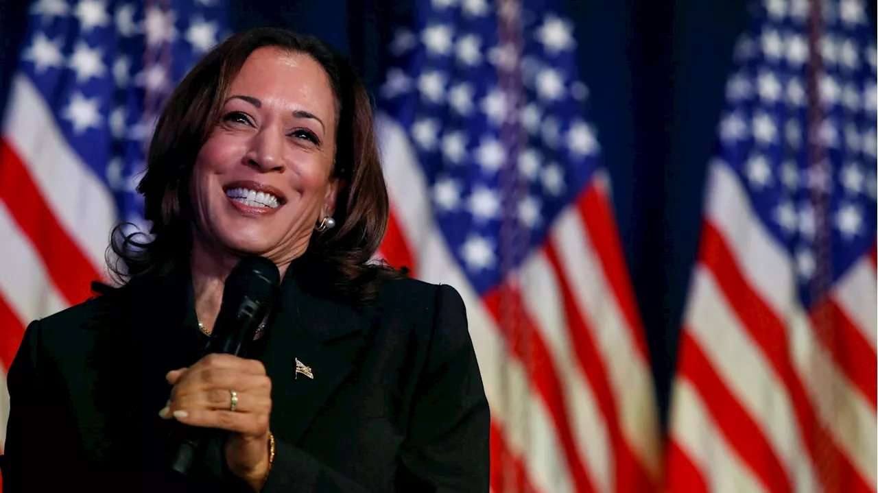 Présidentielle américaine 2024 : le retour en grâce de Kamala Harris, longtemps restée la numéro 2 'invisible'