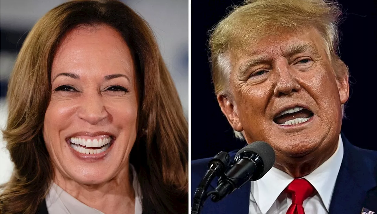 Donald Trump diz que está disposto a debater com Kamala Harris: 'Mais de uma vez, até'