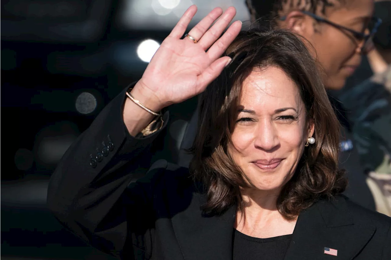 Elezioni Usa 2024 quote sondaggi di Donald Trump e Kamala Harris