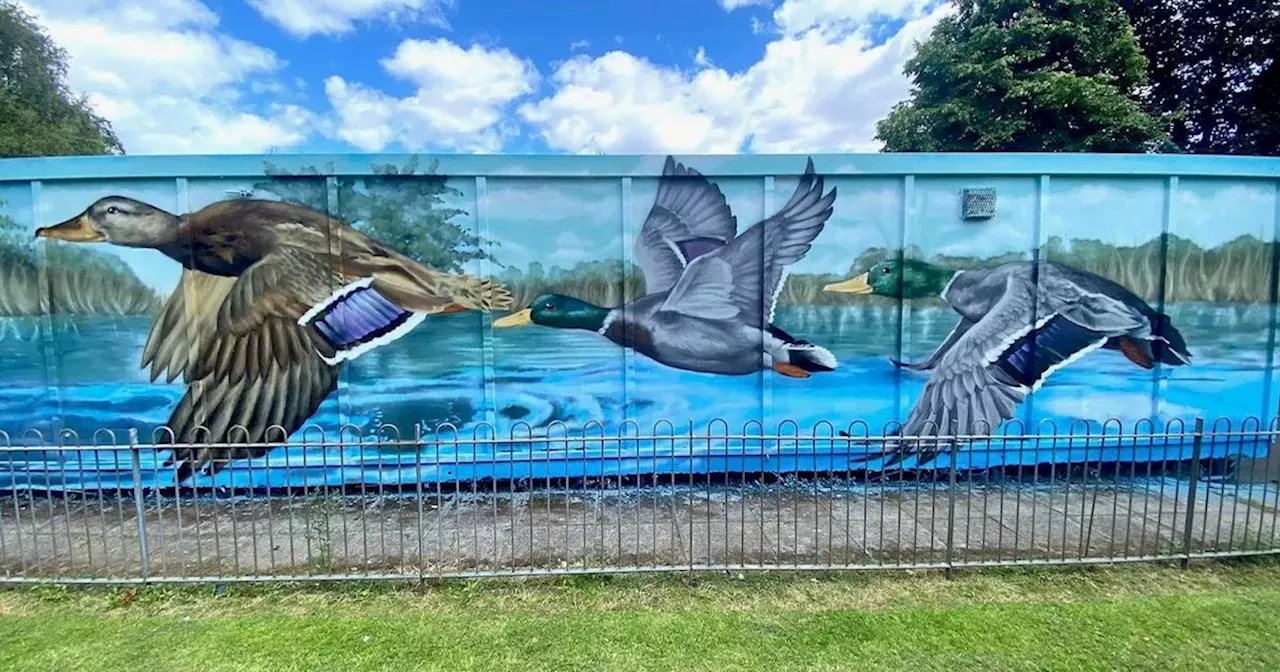 Glasgow duck mural makes a 'big splash' at Victoria Park with vibrant display