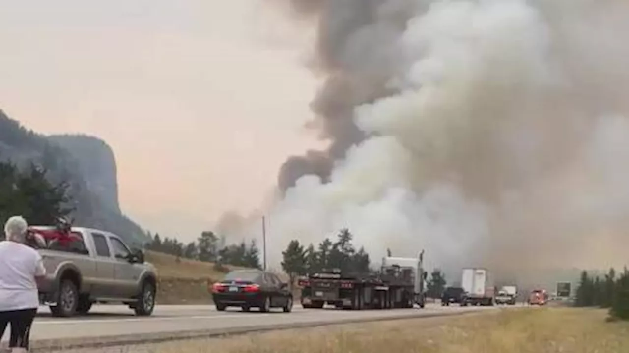 Alberta wildfires: Jasper National Park under evacuation order | Watch News Videos Online