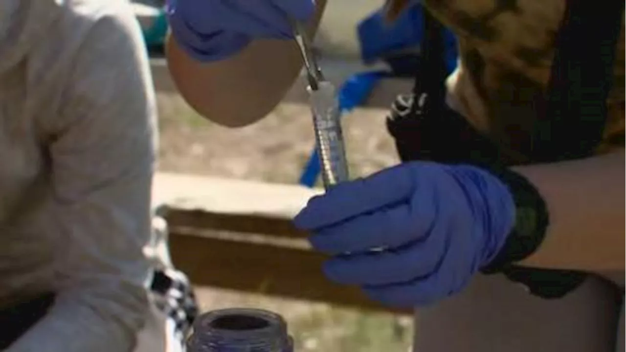 Putting the ‘goo’ in ‘good’ summer: Budding scientists learn at Experimental Lakes camp