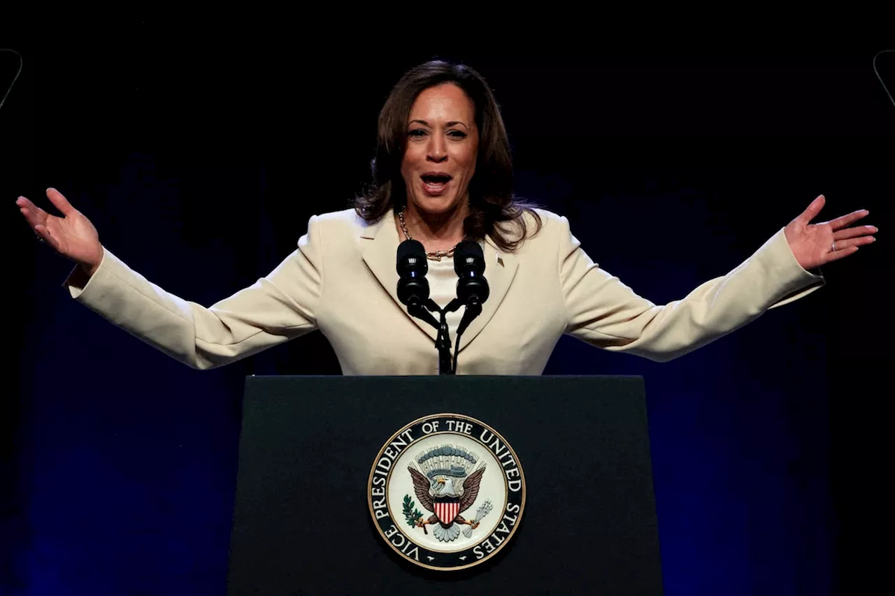 Joe Biden’s decision to step aside for Kamala Harris finally brings the Democrats together