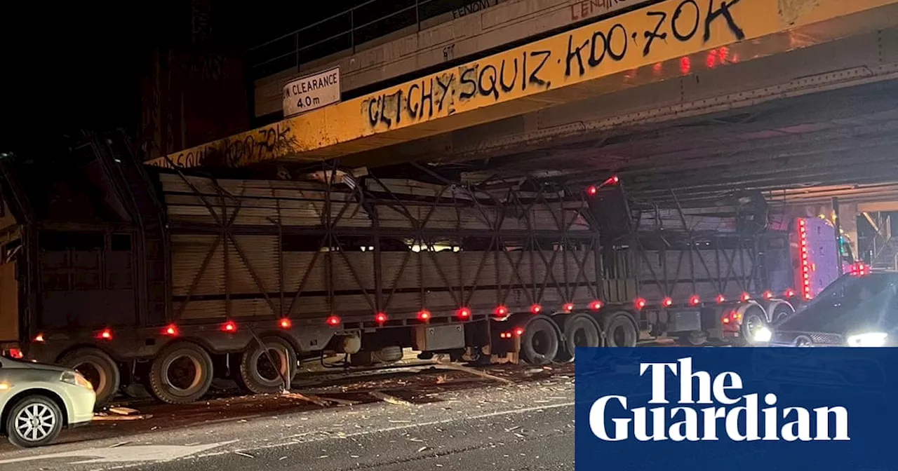 Cattle trapped in truck after vehicle smashes into Melbourne rail bridge