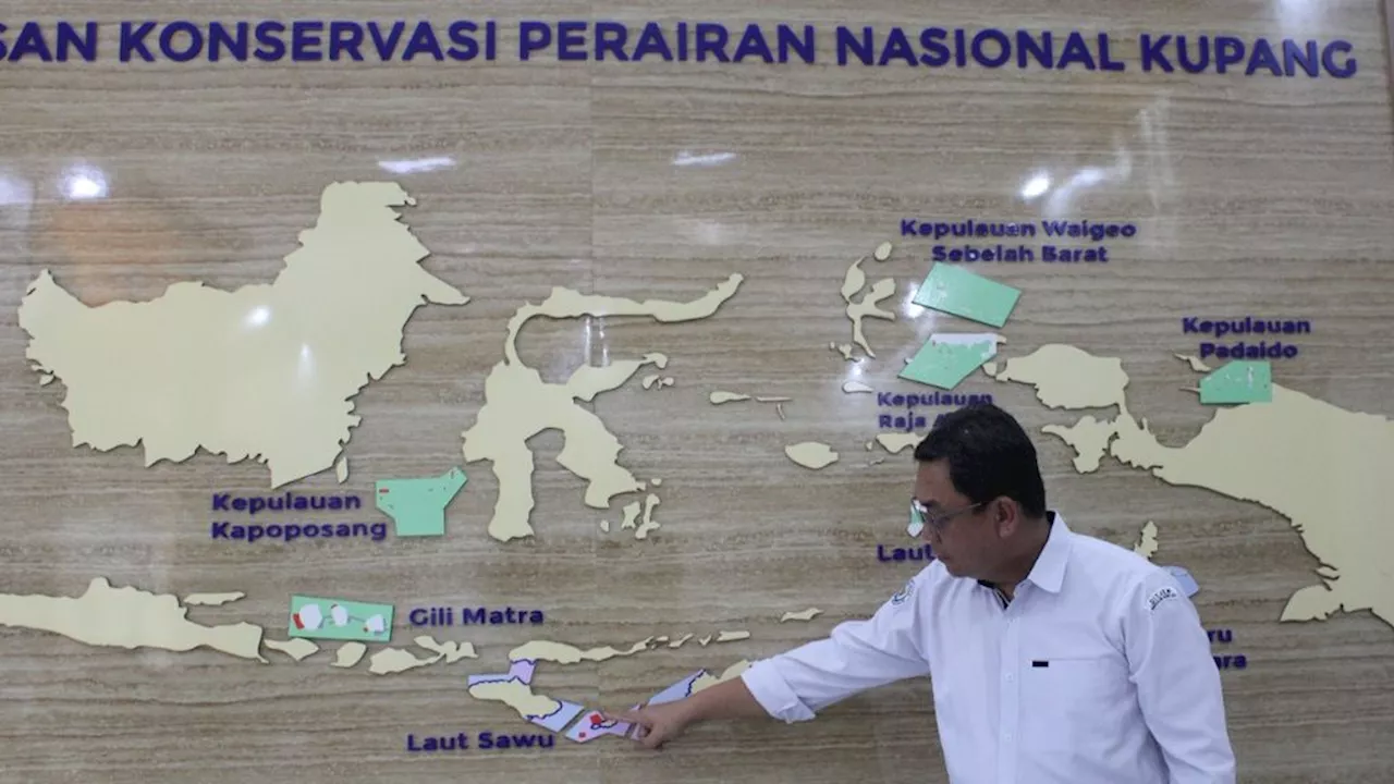 Laut Sawu Relatif Terjaga, Kesadaran Merawat Ekosistem Terus Tumbuh