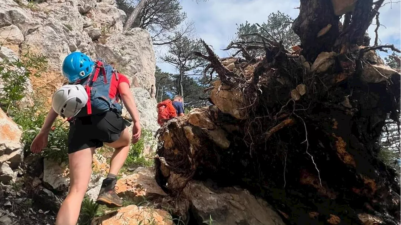 Ohne Plan, mit Turnschuhen – Vater und Sohn in Bergnot