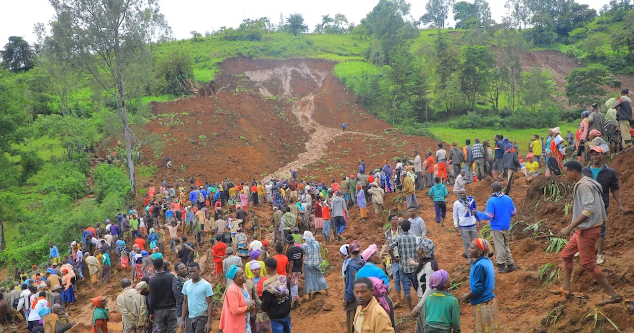 Ethiopia: Death toll from landslides caused by heavy rain climbs to 229, official says