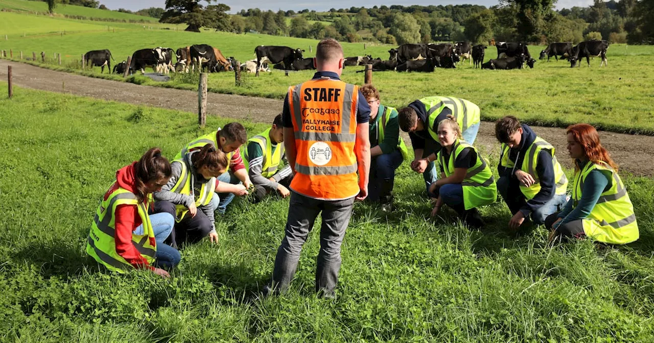 Irish farmers experience sharp income drop in 2023, Teagasc survey finds