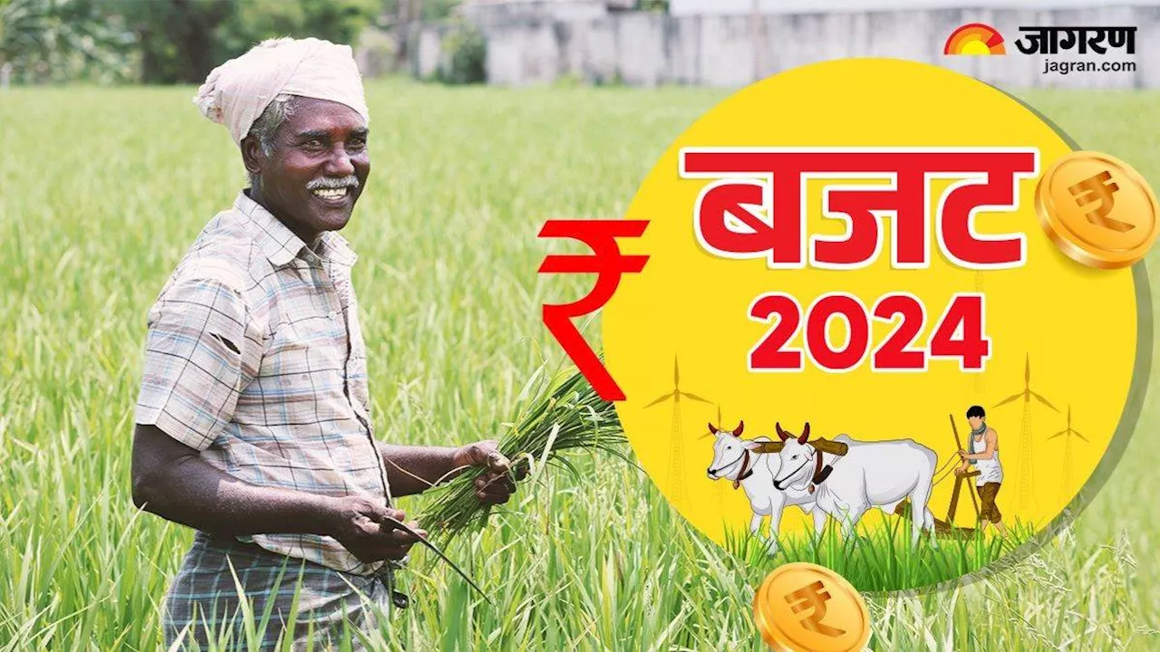 Budget 2024: किसानों के लिए खास है इस बार का बजट, नेचुरल फार्मिंग और उत्पादकता बढ़ाने पर सरकार का जोर