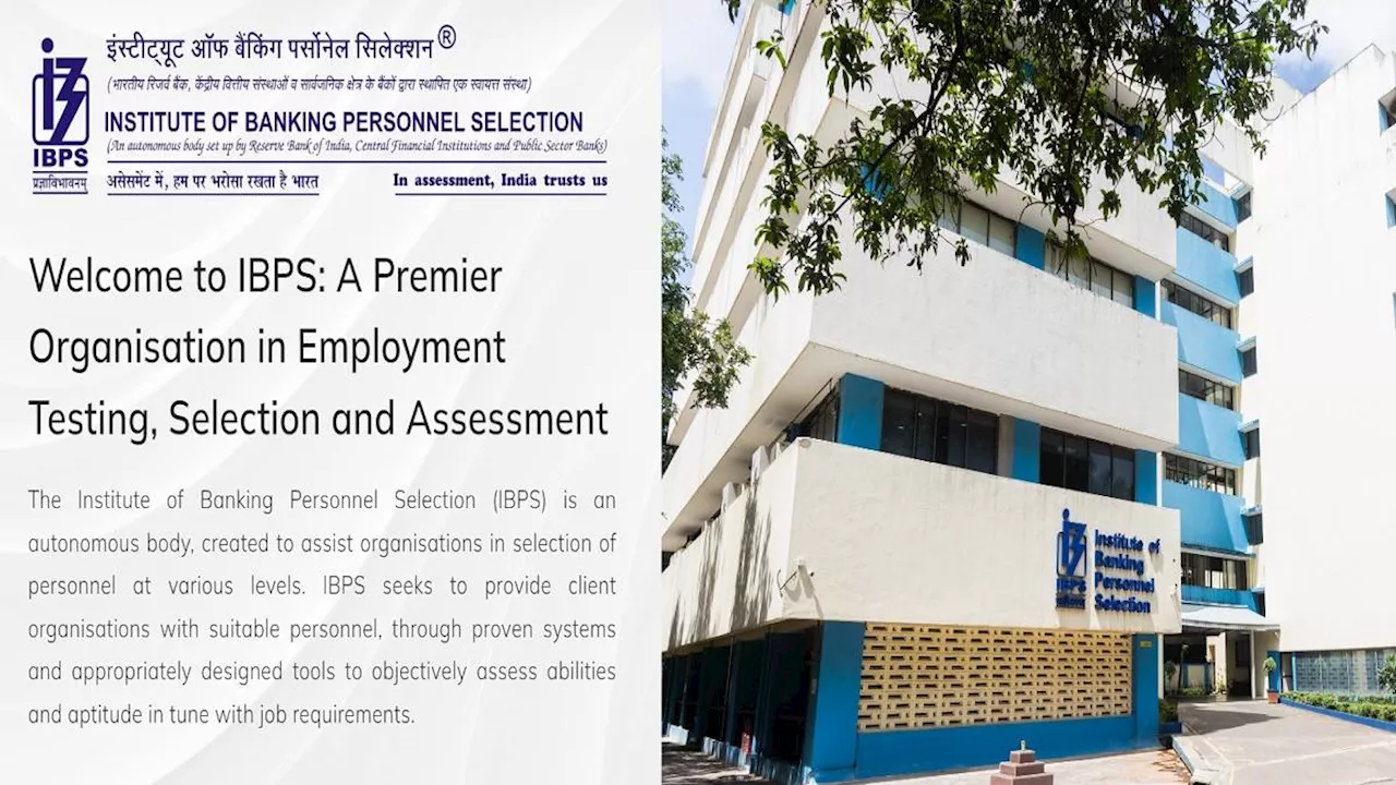 IBPS RRB 13th PET Admit Card 2024: आईबीपीएस ऑफिस असिस्टेंट, ऑफिसर स्केल-1 प्री एग्जाम ट्रेनिंग के लिए एडमिट कार्ड जारी