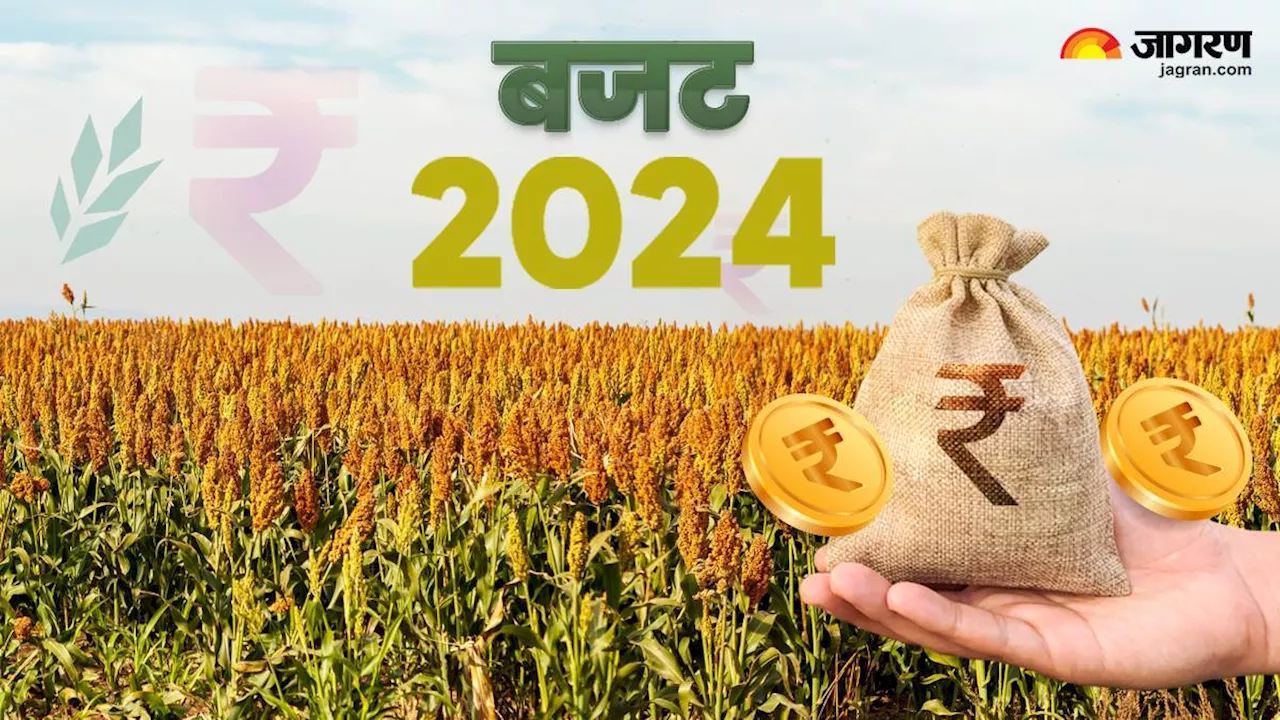 PM Kisan Yojana Budget 2024: पीएम किसान योजना की राशि में नहीं हुई बढ़ोतरी, करोड़ों किसानों को मिला फसल बीमा योजना का लाभ