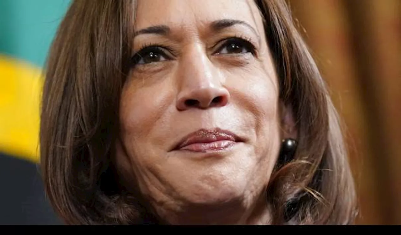 Kamala Harris Disebut Tuai Cukup Dukungan Utusan Demokrat untuk Jadi Calon Presiden AS