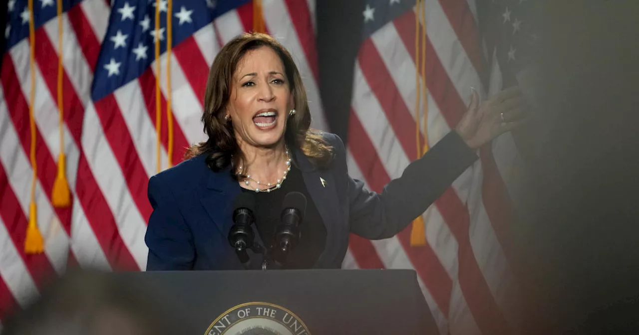 Falsehoods about Kamala Harris' citizenship status, racial identity resurface online as she becomes likely Democratic nominee