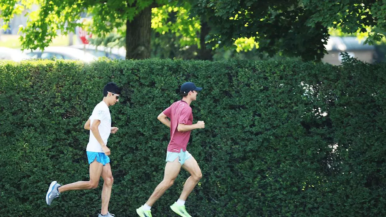 Life-changing month for James Corrigan finds BYU star taking 'Steeplechase U' to Olympics