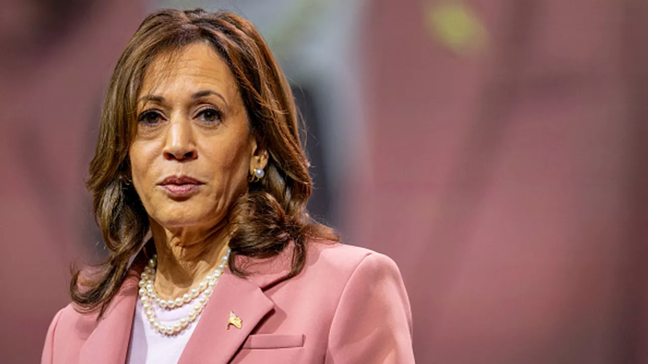 Harris's 'deep empathy' for Palestinian Americans will attract voters, congresswoman says