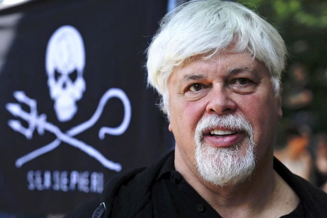 Arrestation de Paul Watson : « Symbole de la criminalisation du militantisme écologiste »