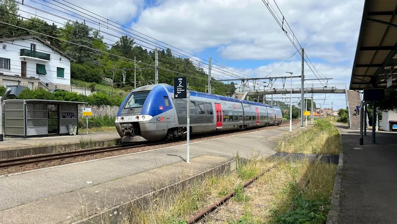 Heurté par un train, un homme décède à la gare de Moissac