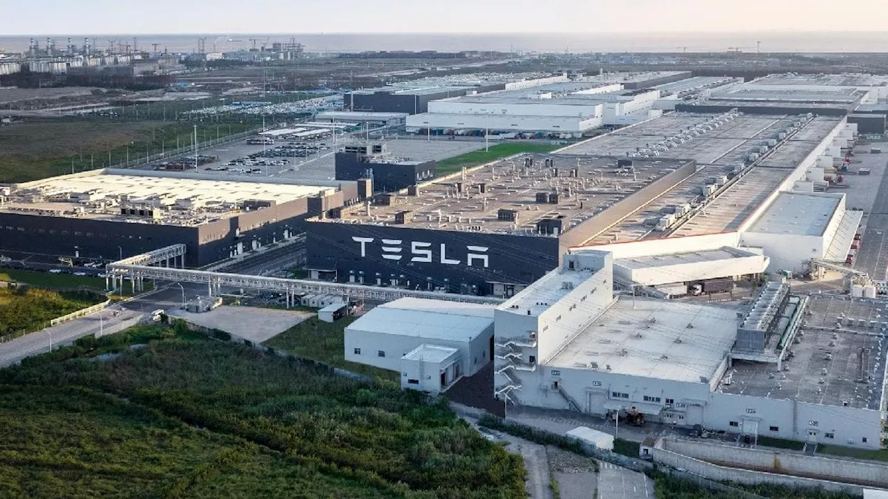 Elon Musk frena plan para construir gigafábrica de Tesla en Nuevo León