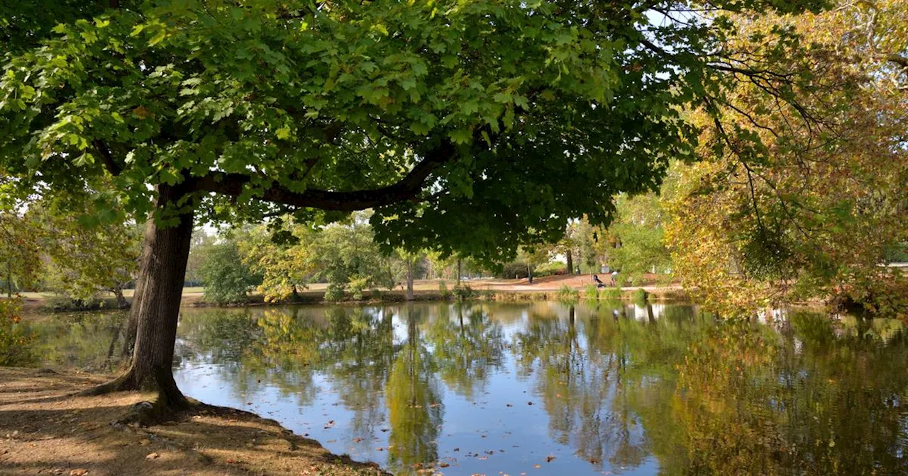 L'Île-de-France inattendue : Le Vésinet, douillet nid yvelinois