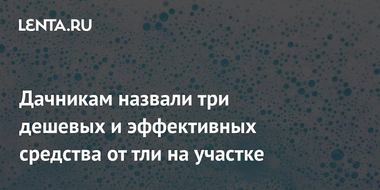 Дачникам назвали три дешевых и эффективных средства от тли на участке