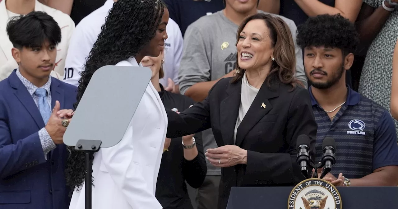 Kamala Harris, pioggia di soldi (e di delegati) &#034;sospetta&#034; in poche ore