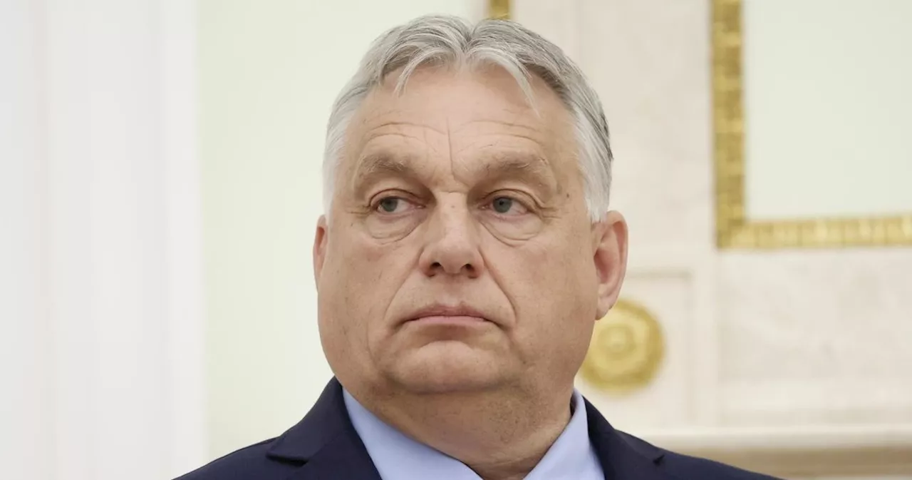 Patrioti di Orban contro la Ue: "Azioni legali contro il cordone sanitario"