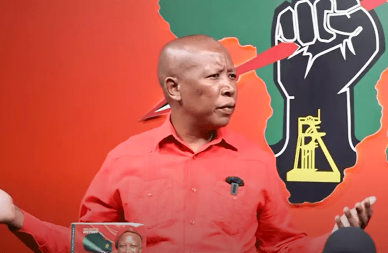 Malema calls Ramaphosa thin-skinned