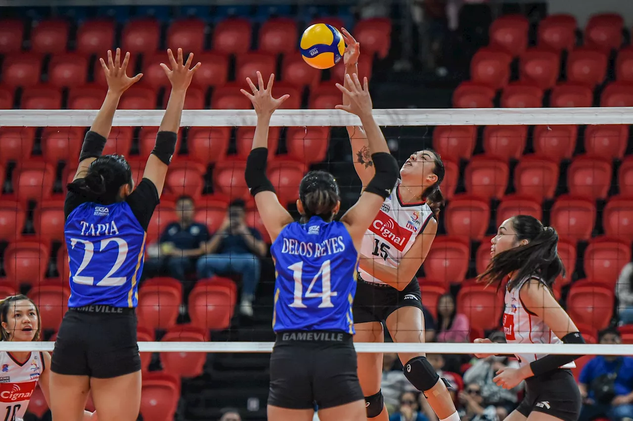 HD Spikers subdue Thunderbelles for second win