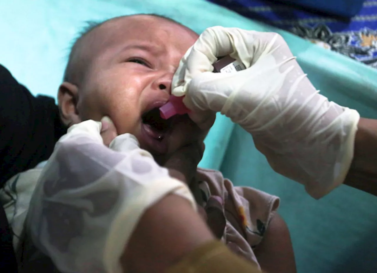 Presiden Jokowi Tinjau Pekan Imunisasi Nasional Polio Putaran Kedua di Papua