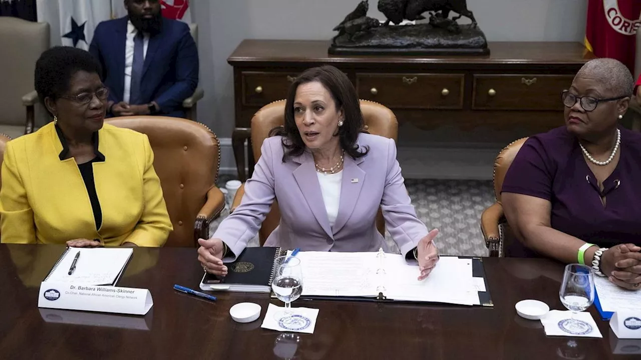 Usa 2024, Kamala Harris ha raccolto 100 milioni di dollari