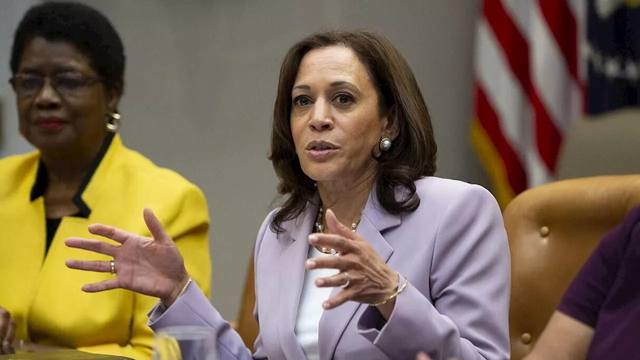 Usa 2024, Kamala Harris: Trump: vuole riportare Paese indietro