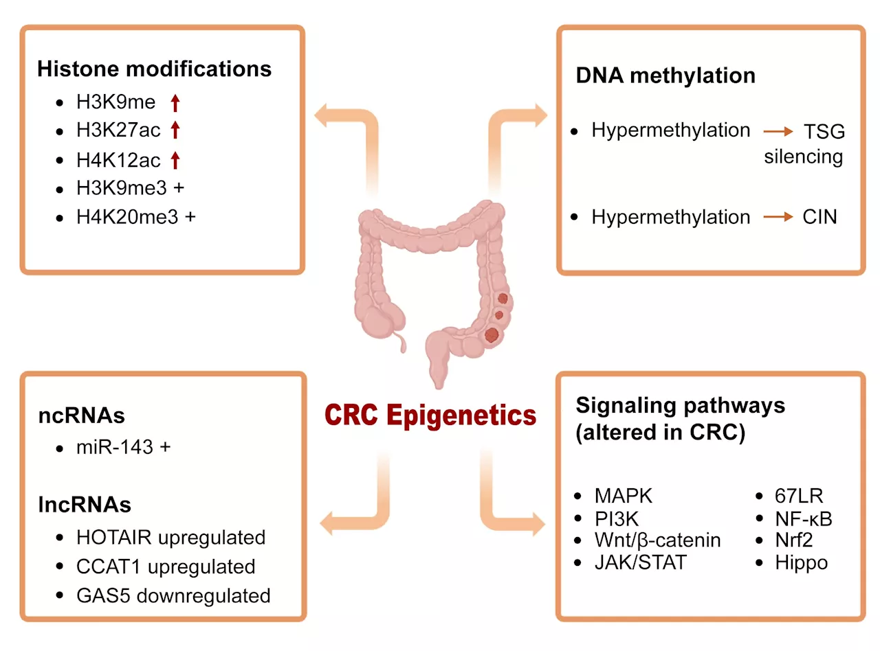 Potential epigenetic modifiers targeting the alteration of methylation in colorectal cancer