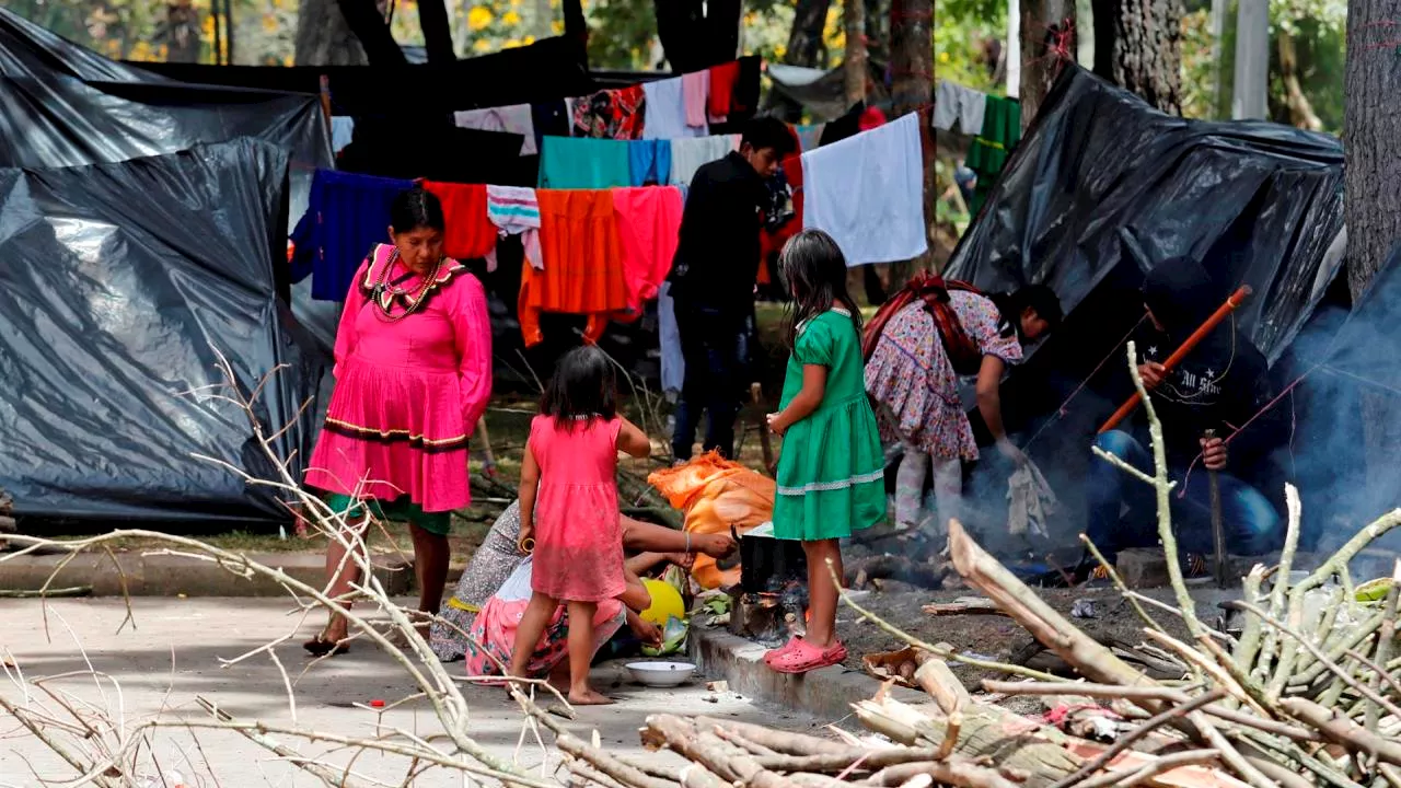 Investigan la muerte de un indígena en el Parque Nacional de Bogotá