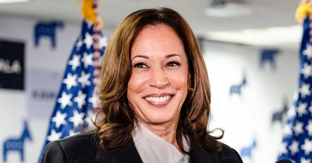 Harris' challenge ahead: Winning over swing voters