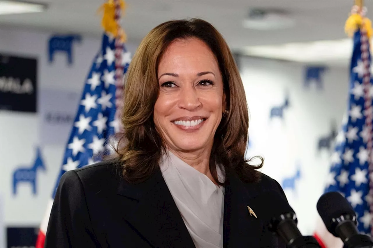 Harris secures enough delegate support to clinch US Democratic Party nomination