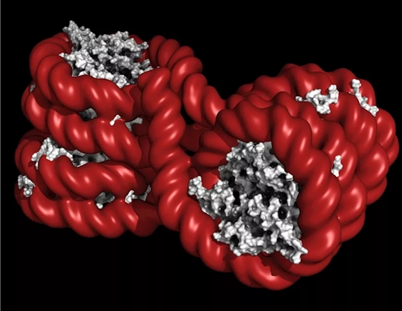 Epigenetic insights into stroke-induced immunological changes