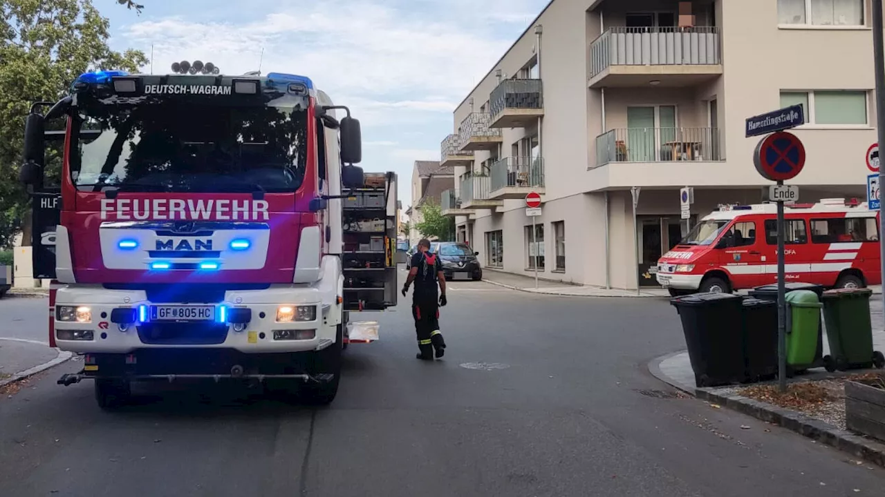 FF Deutsch-Wagram rettete weinendes Baby aus verschlossenem Auto