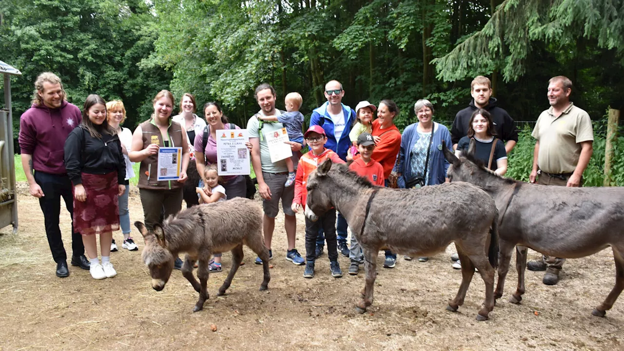 Jungfamilie aus Würmla gibt Zwergesel den Namen „Mogli“